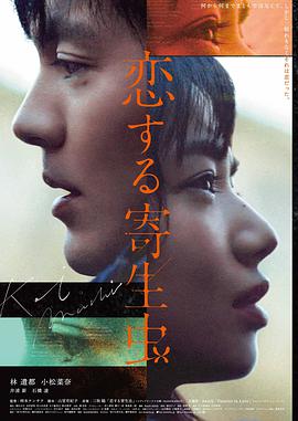 字典情人完整版 手机版封面